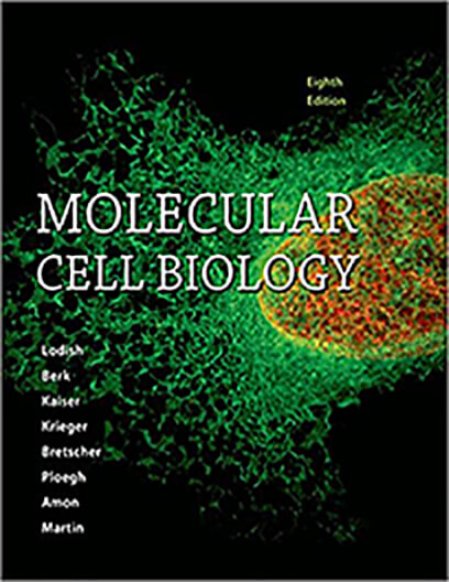 Molecular Cell Biology thumbnail
